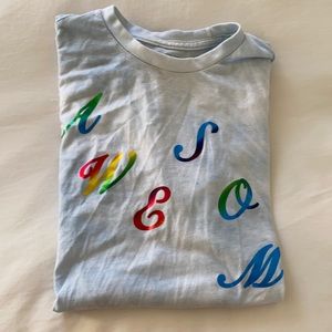 Taylor Swift Awesome Me Shirt